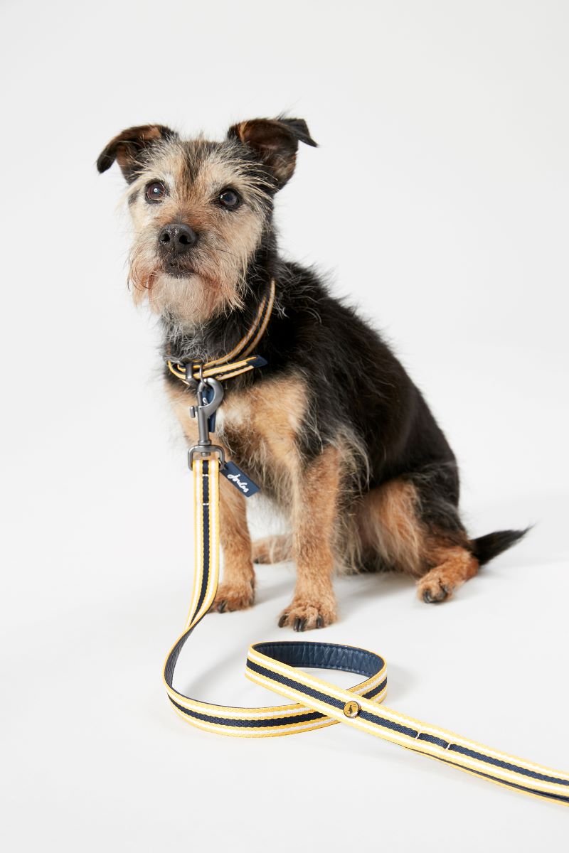 Joules Navy & Yellow Stripe Dog Lead