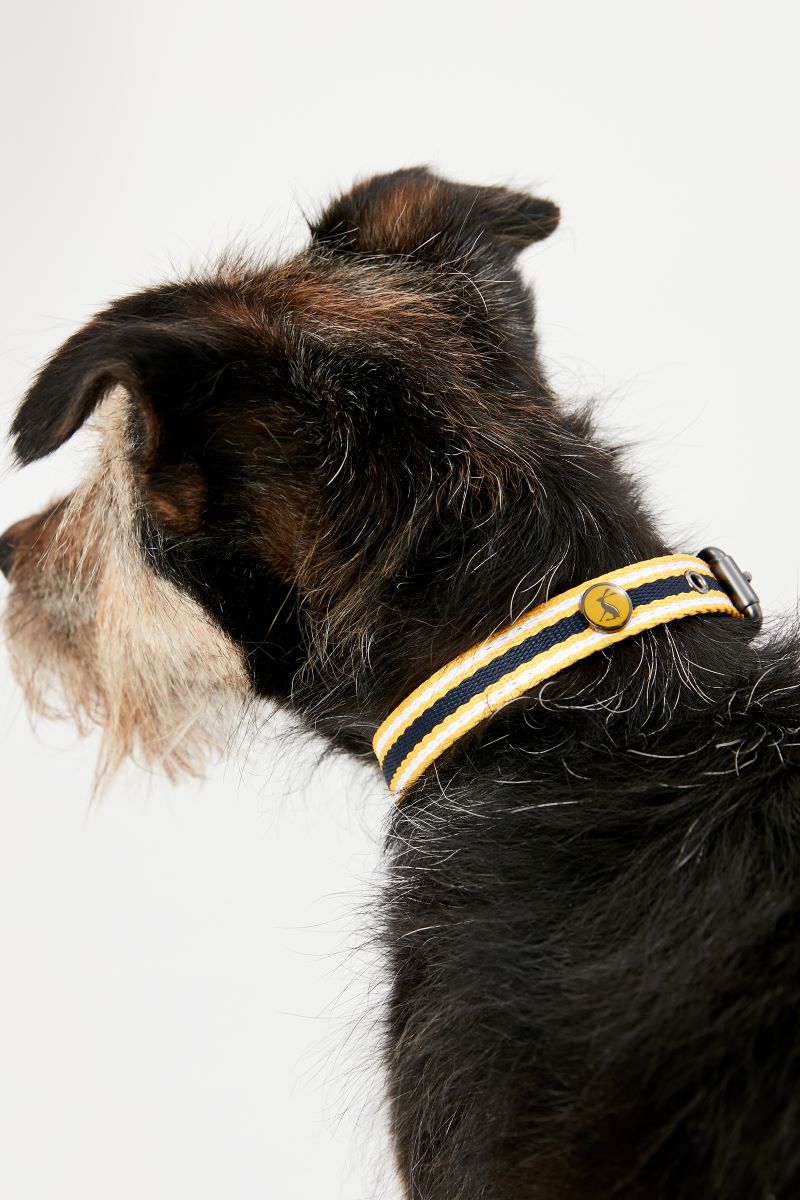 Joules Navy & Yellow Striped Dog Collar