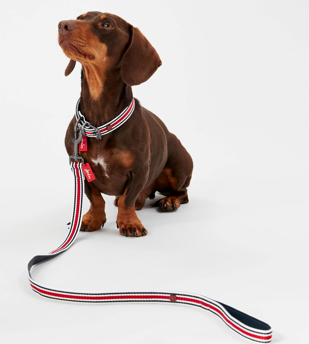 Joules Coastal Stripe Dog Lead