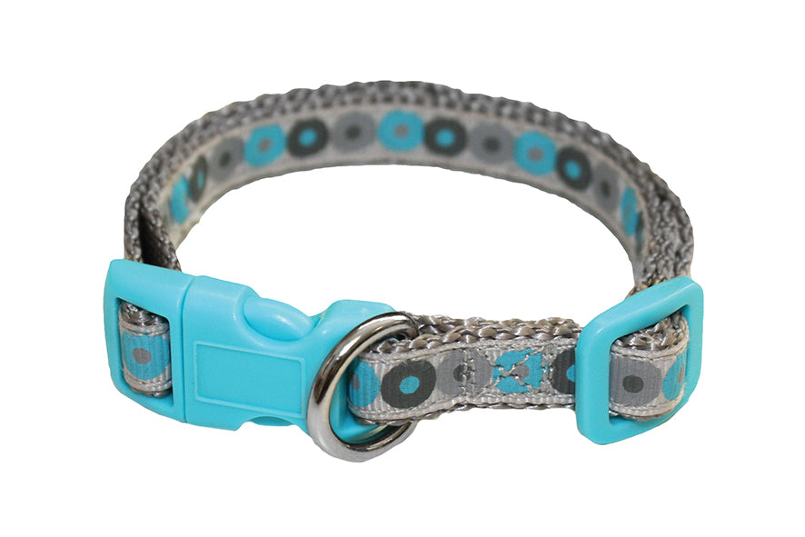 Puppy Starter Collar & Lead Set - Blue