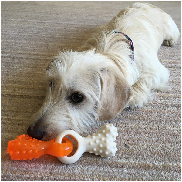 Tough Puppy Duo Dental Tug Toy