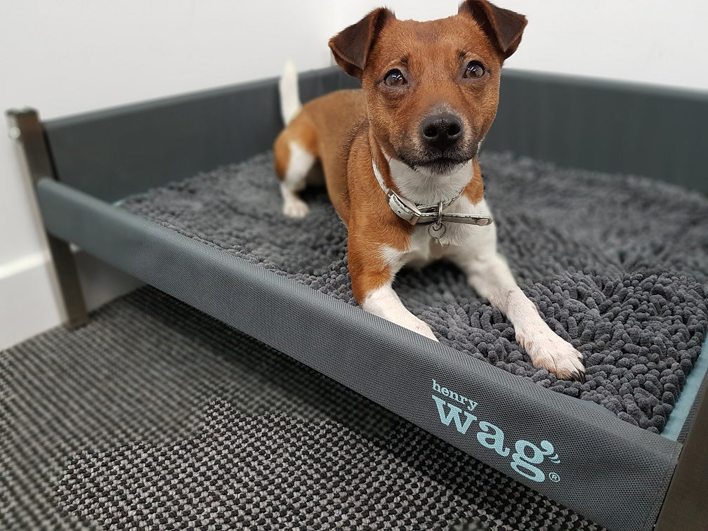 Microfibre Noodle Pet Mat