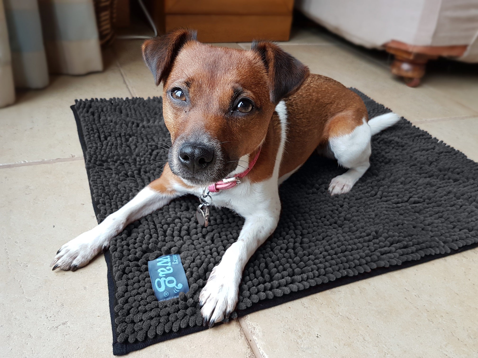 Microfibre Noodle Pet Mat