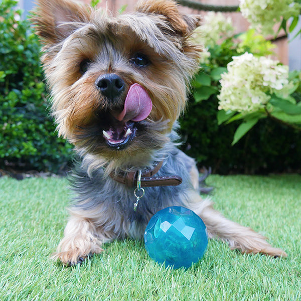 BioSafe Germ Smart Puppy Treat Ball Toy