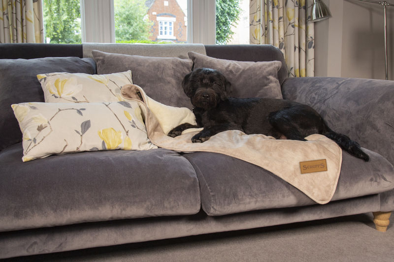 Scruffs Reversible Luxury Kensington Blanket in Cream