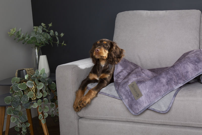 Scruffs Reversible Luxury Kensington Blanket in Grey