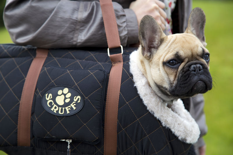 Wilton Dog Carrier in Black
