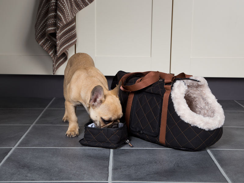 Wilton Dog Carrier in Black