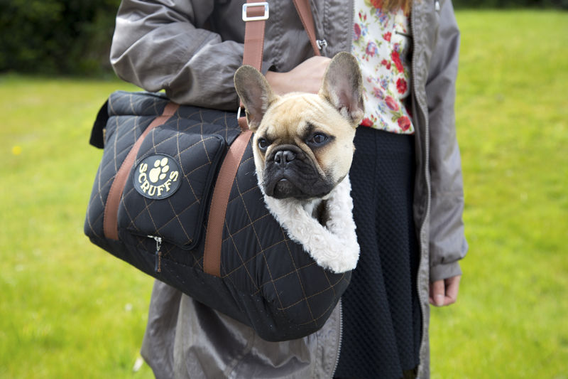 Wilton Dog Carrier in Black