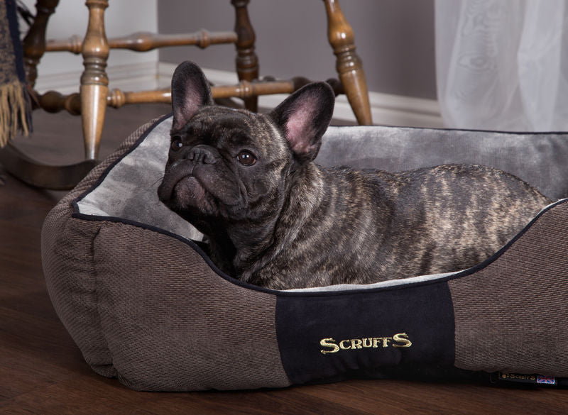 Chester Box Dog Bed in Graphite