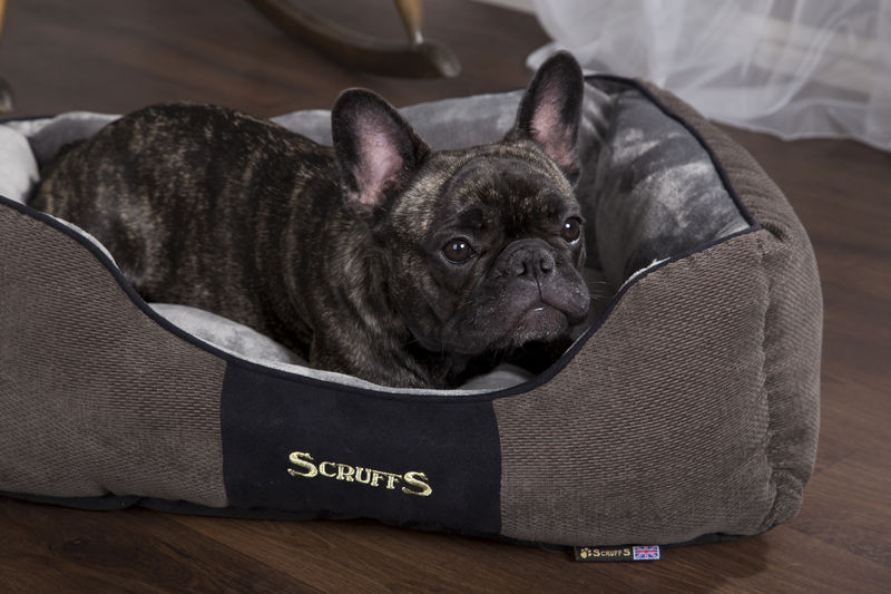 Chester Box Dog Bed in Graphite