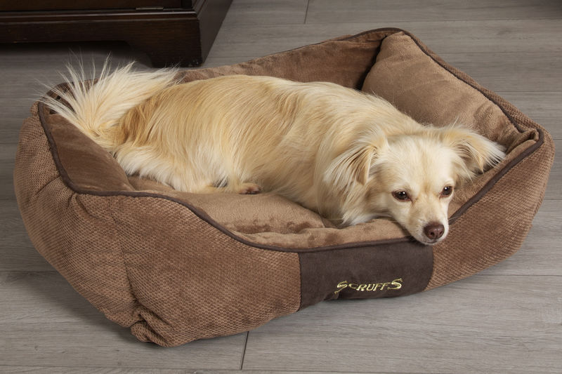 Chester Box Dog Bed in Brown