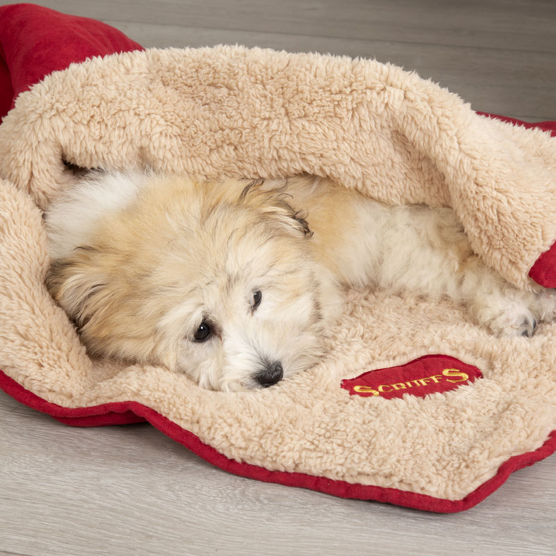Scruffs Reversible Snuggle Blanket in Red