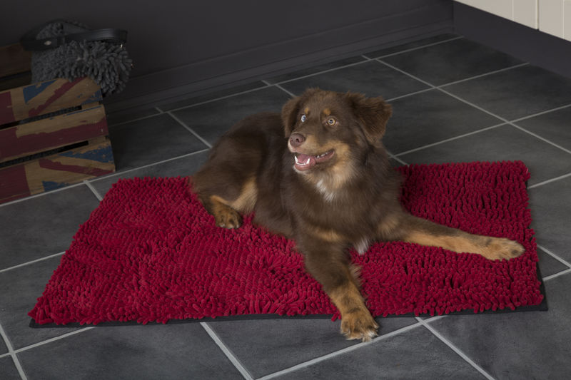 Noodle Dog Mat in Red