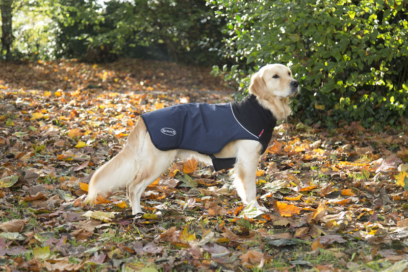 Scruffs Thermal Self Heating Quilted Dog Coat in Navy