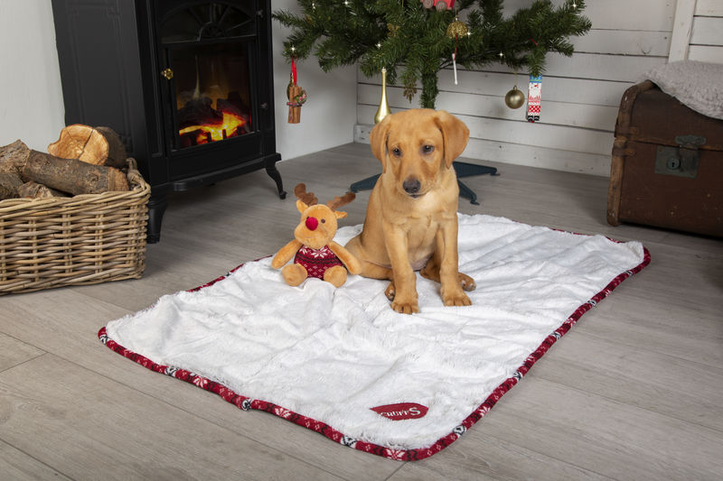 Scruffs Santa Paws Blanket & Reindeer Gift Set in Red