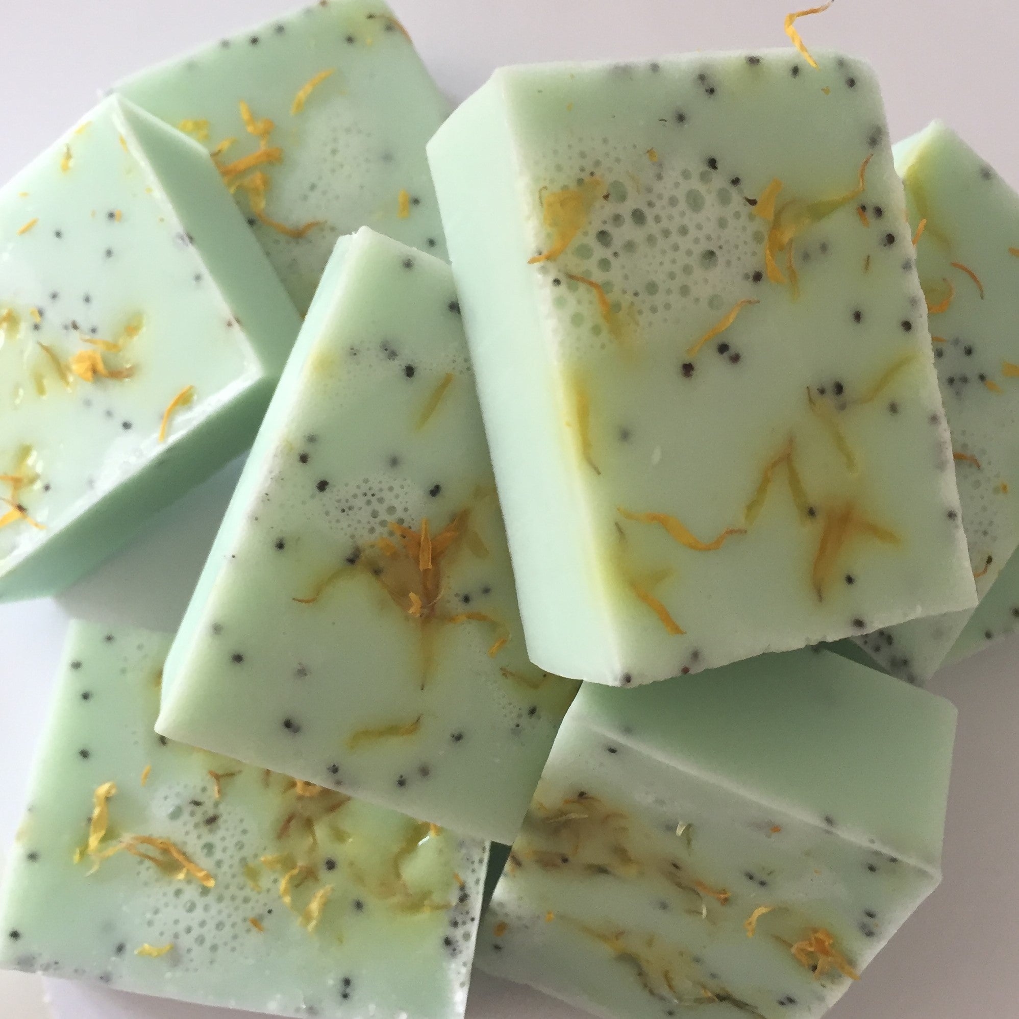 Be: Bugfree Insect Repelling Natural Dog Shampoo Bar