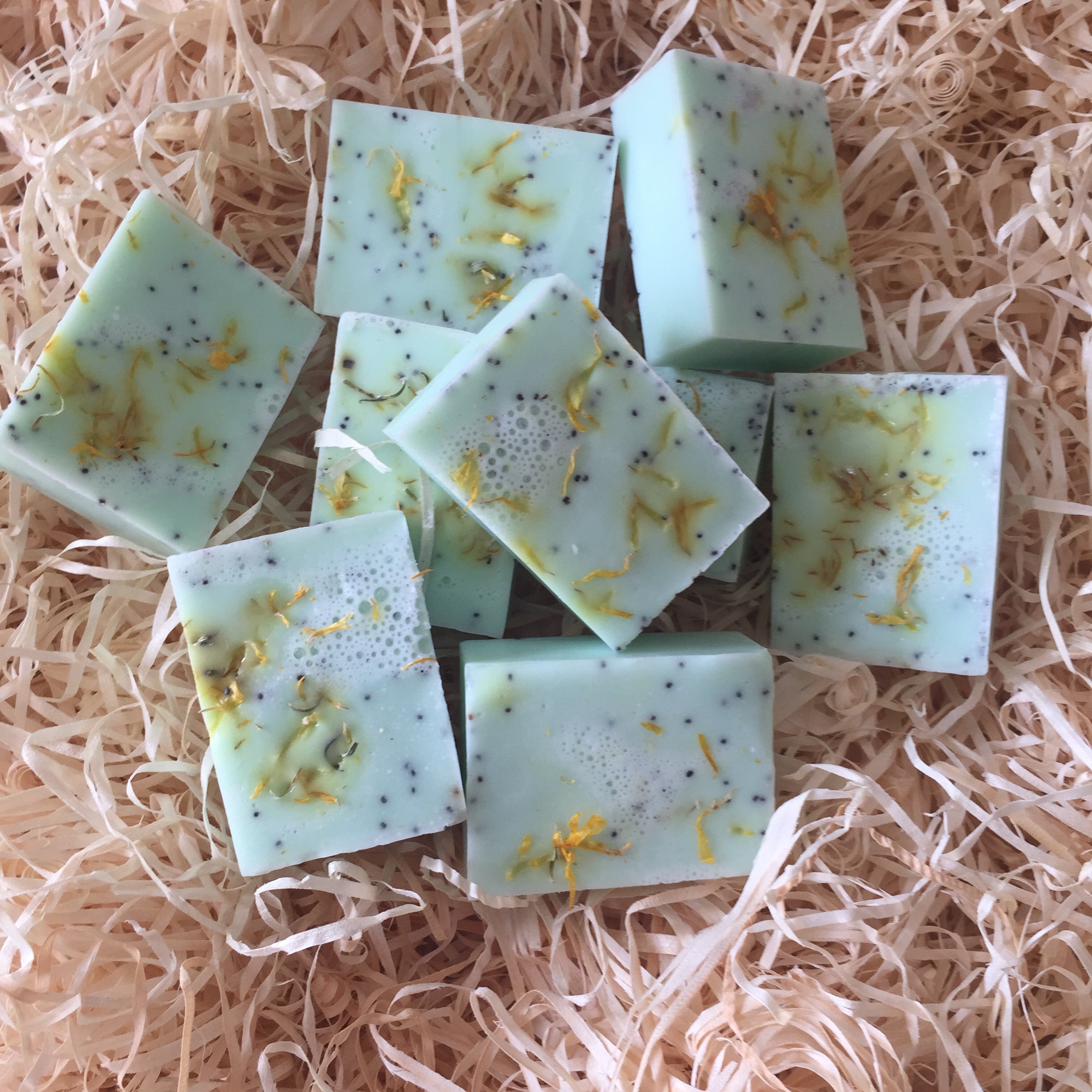 Be: Bugfree Insect Repelling Natural Dog Shampoo Bar