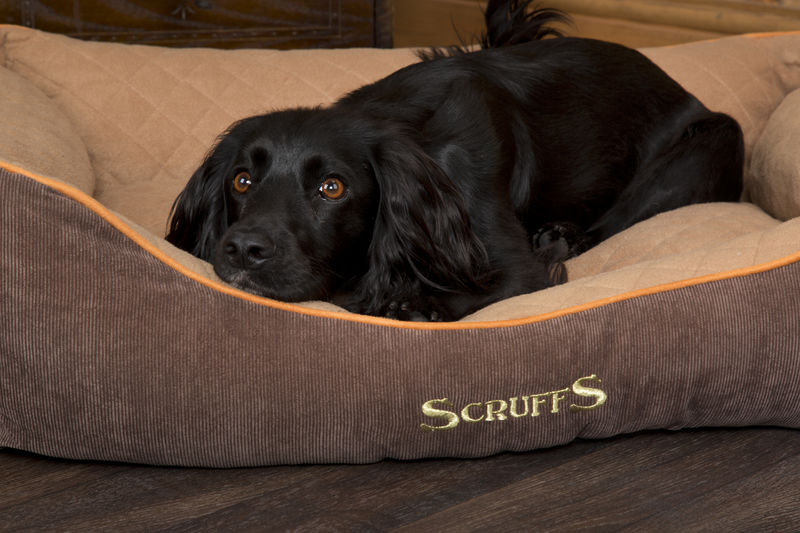 Thermal Self Heating Dog Bed in Brown