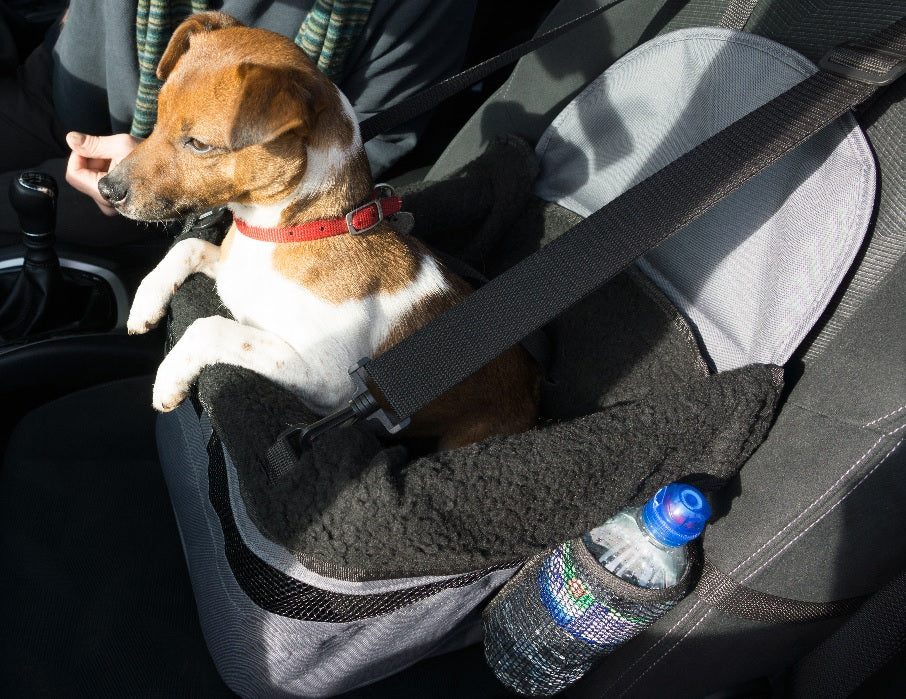 Car Booster Seat for Dogs