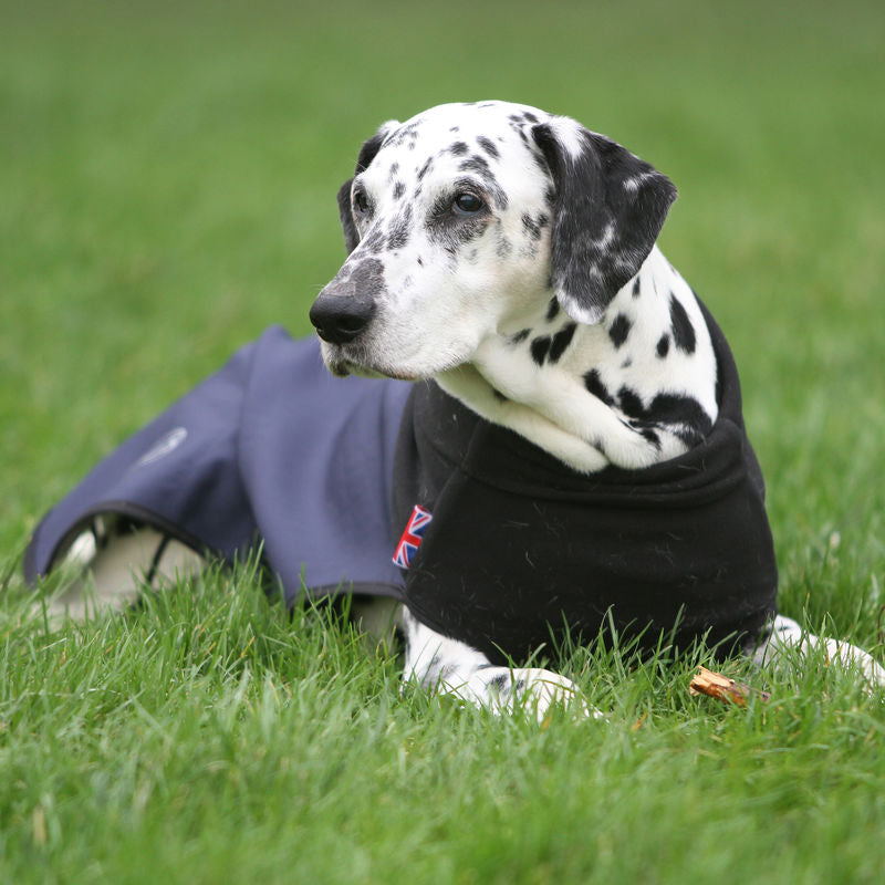 Scruffs Thermal Self Heating Quilted Dog Coat in Navy