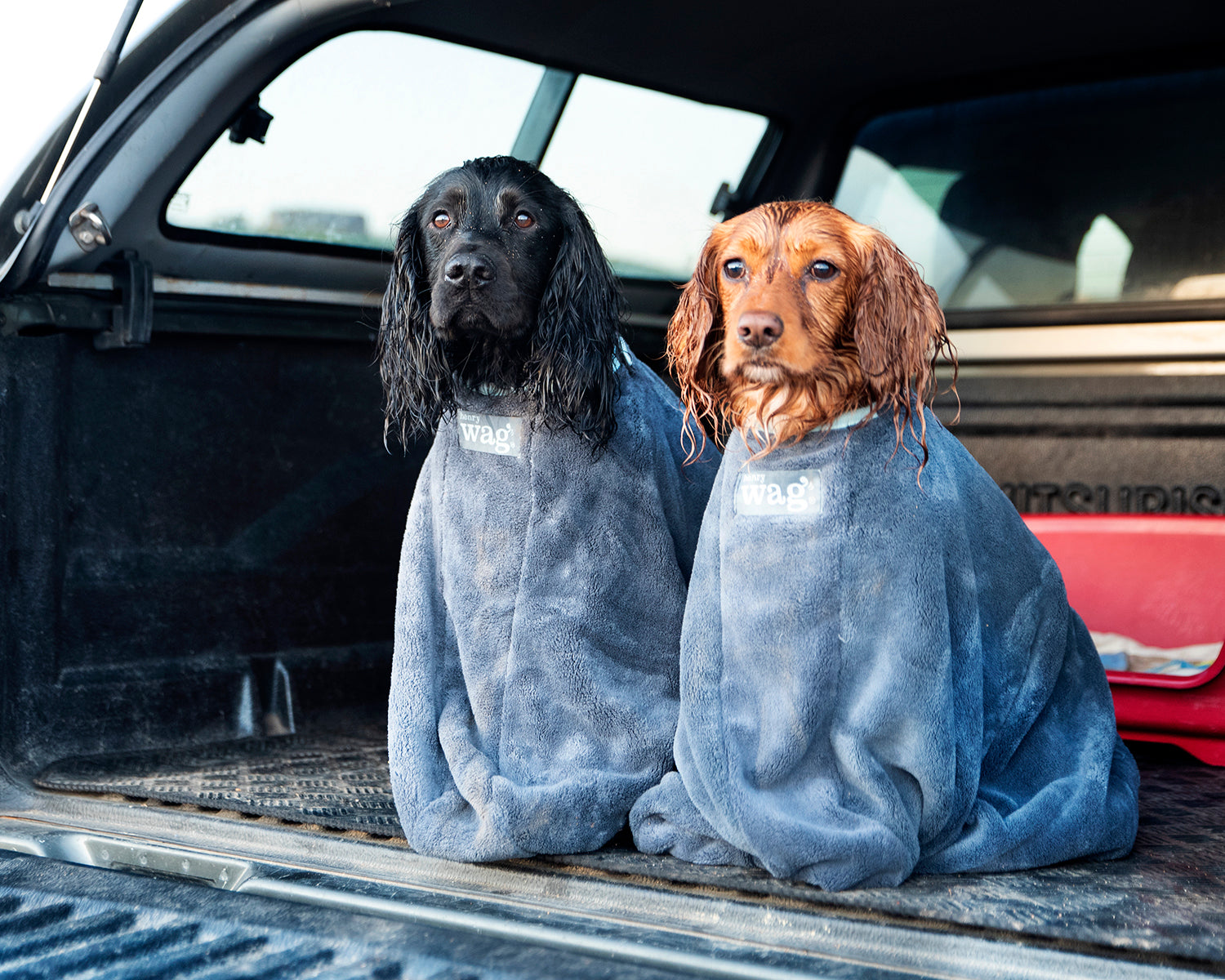 Microfibre Pet Dog Drying Bag