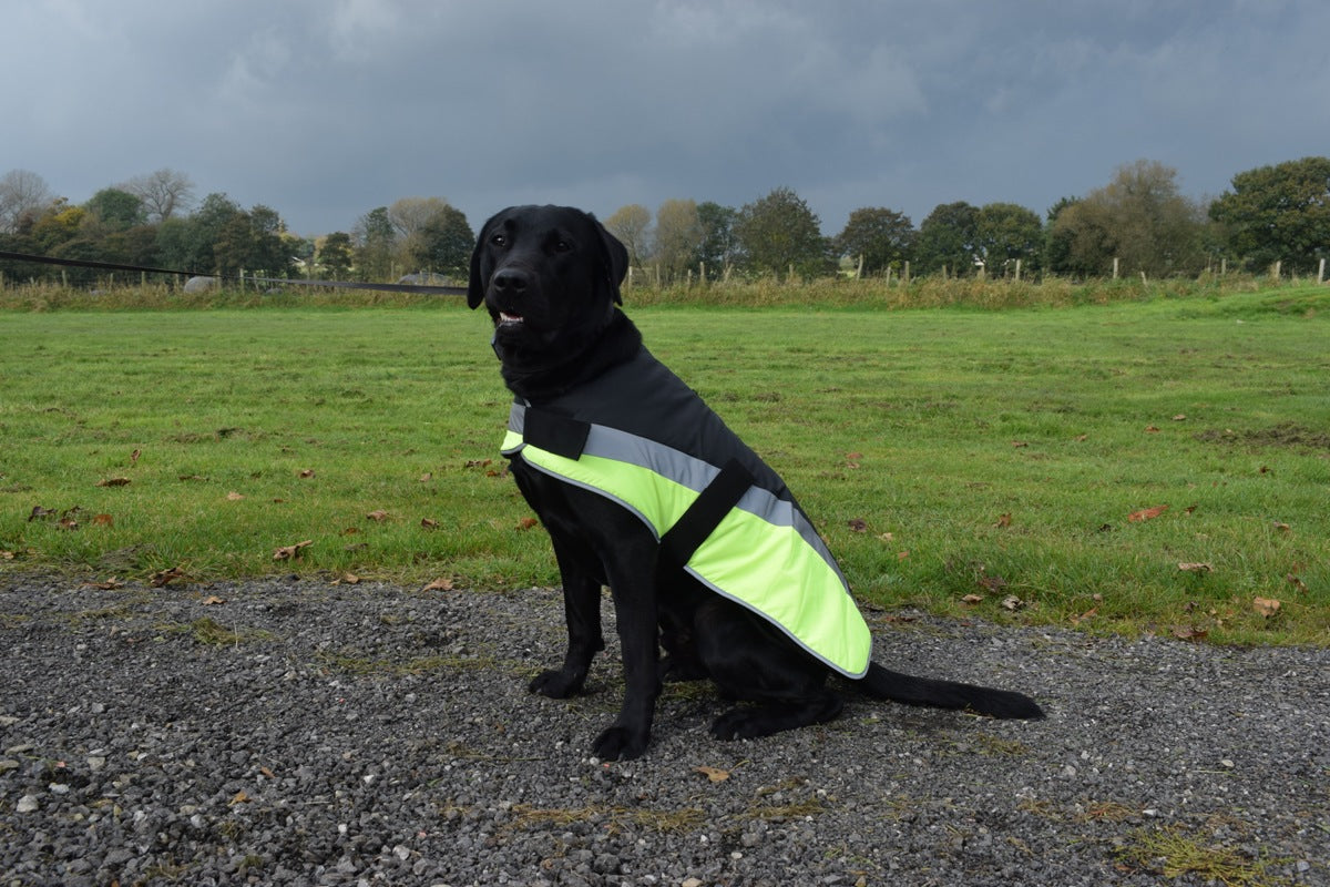 Go Walk High Vis Reflective Dog Coat in Yellow