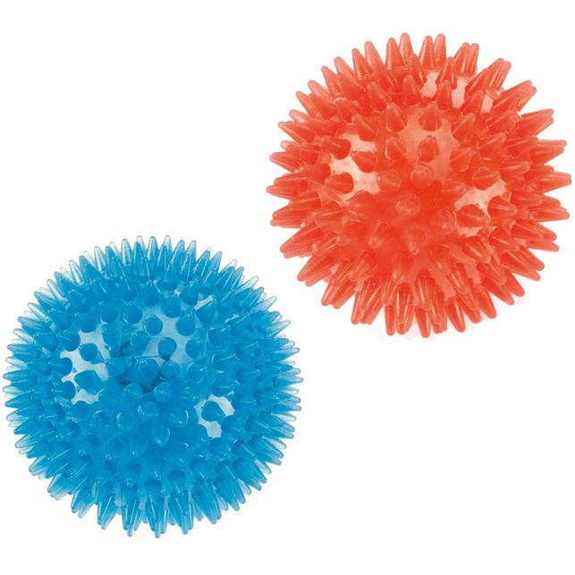 Small Bouncy Dog Ball Toy