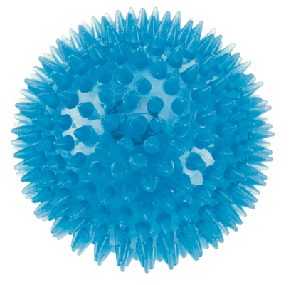 Squeaky Dog Ball Toy