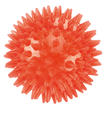 Squeaky Dog Ball Toy