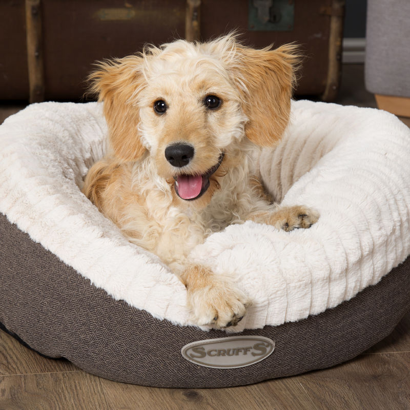 Ellen Soft Donut Dog Bed in Grey