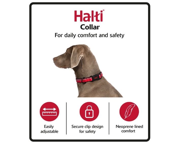 Comfort Dog Collar in Red