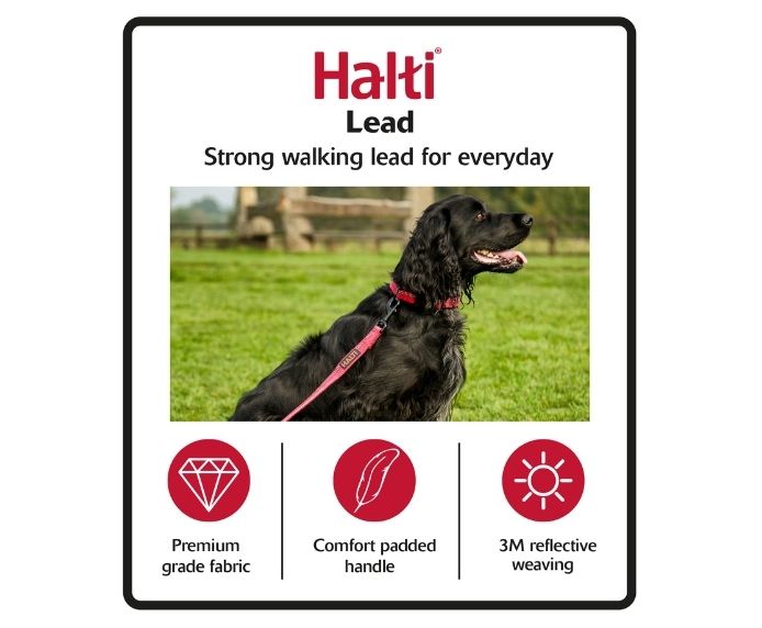 Halti Lead for Dogs in Black/Grey