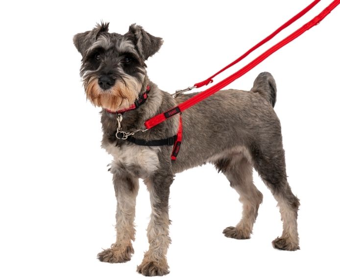 Halti Front Control Dog Harness