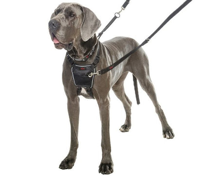 Halti NEW No Pull Harness