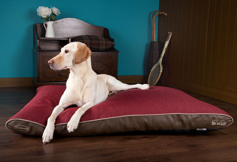 Scruffs Hilton Orthopaedic Memory Foam Dog Mattress Red