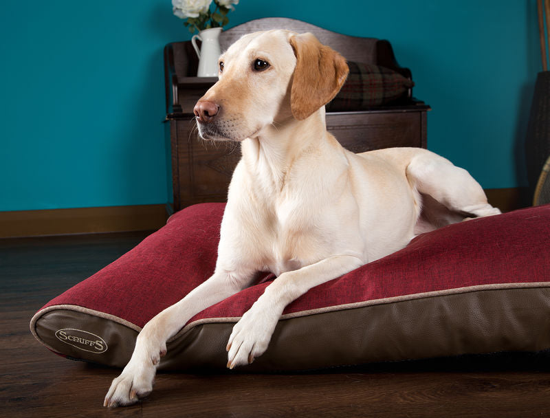 Scruffs Hilton Orthopaedic Memory Foam Dog Mattress Red