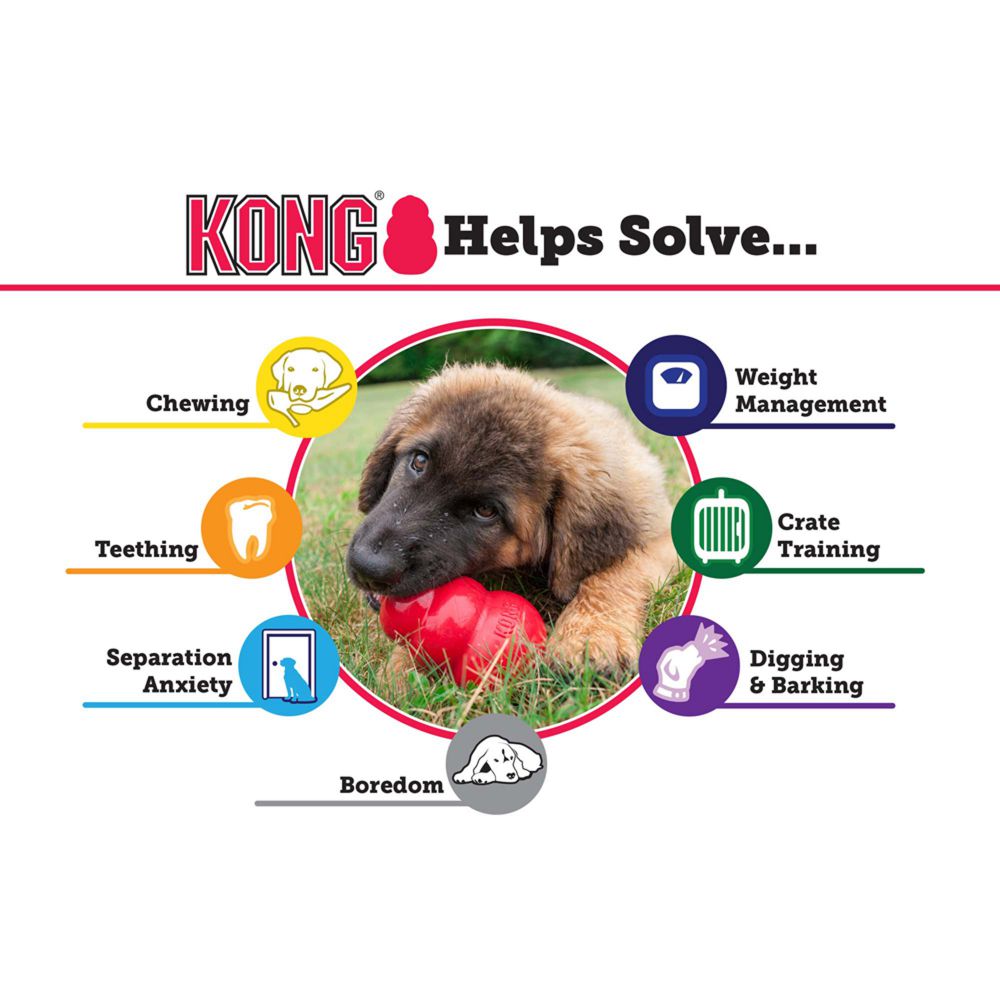 KONG Puppy Large Dog Toy