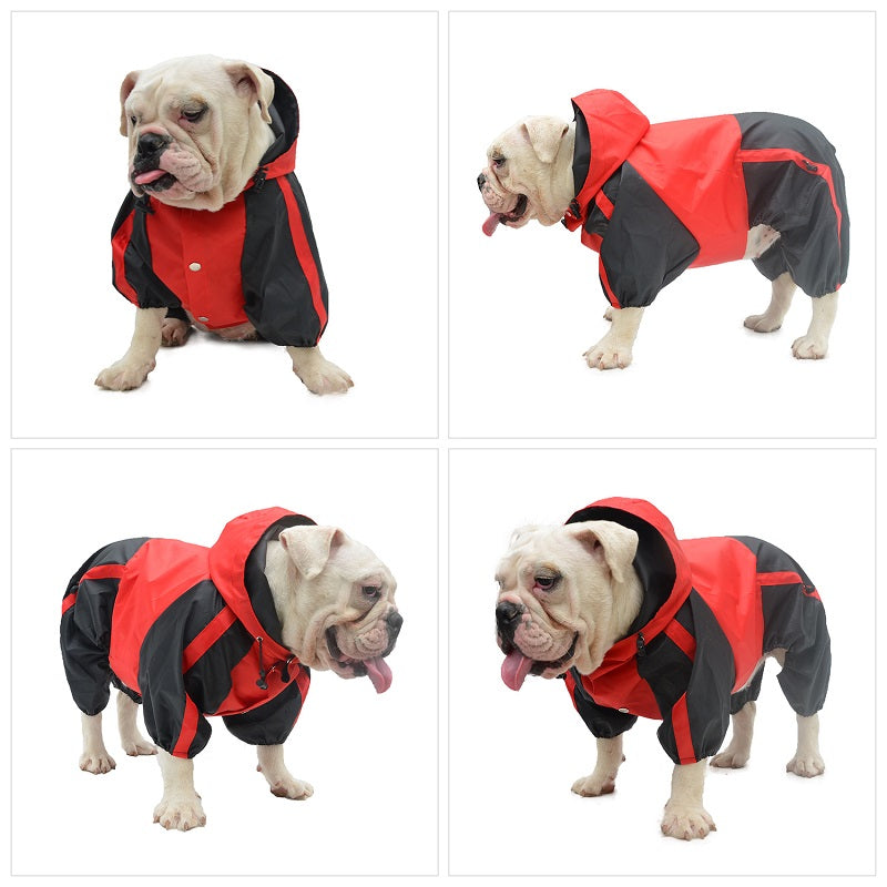Bulldog Raincoat with Legs in Red