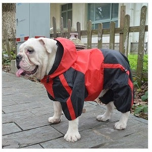 Bulldog Raincoat with Legs in Red