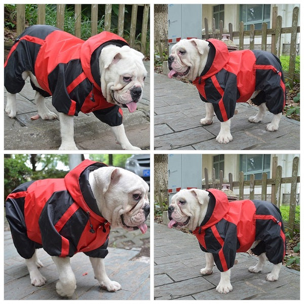 Bulldog Raincoat with Legs in Red