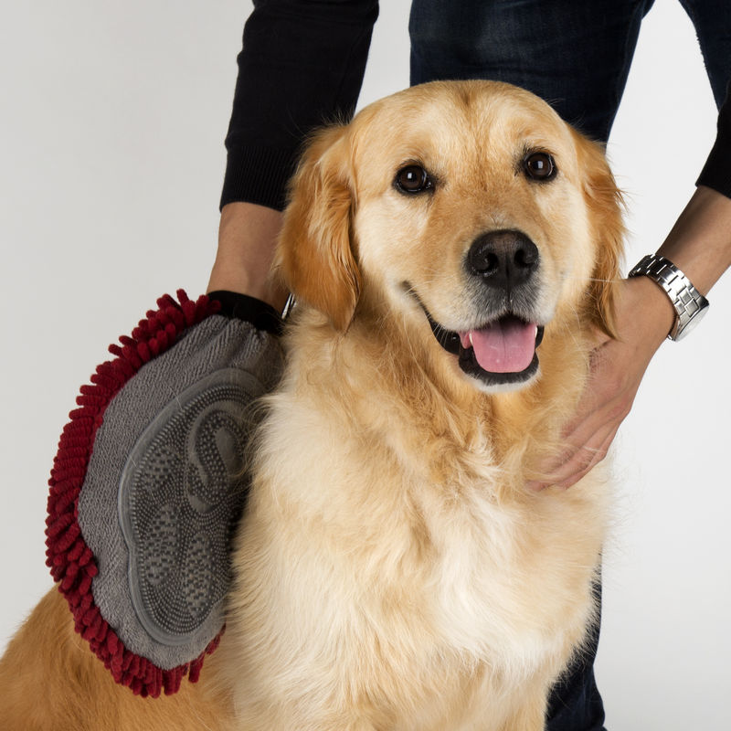 Scruffs Noodle Drying & Groom Mitt for dogs