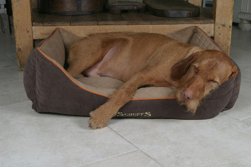 Thermal Self Heating Dog Bed in Brown