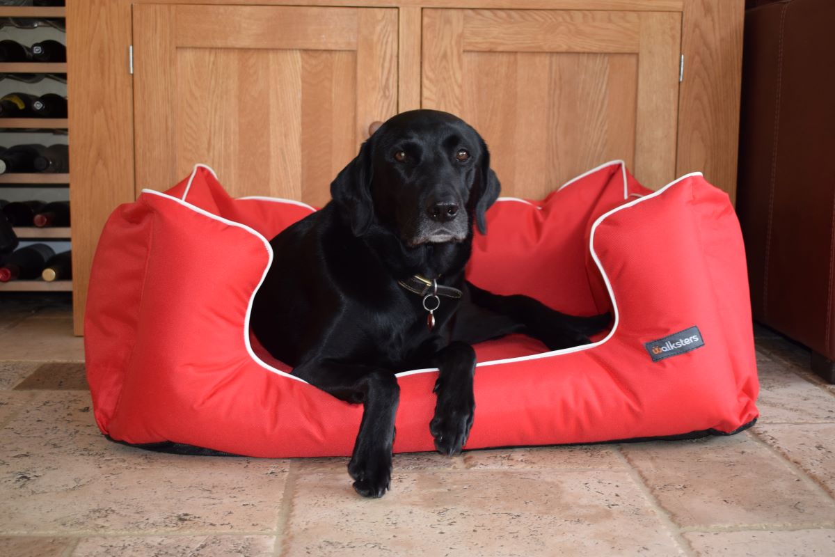 Walksters Ultimate Memory Foam Red Waterproof Dog Bed