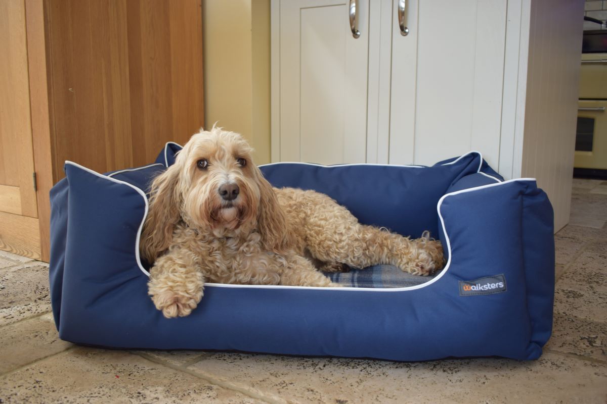 Walksters Ultimate Blue Check Waterproof Dog Bed with Memory Foam