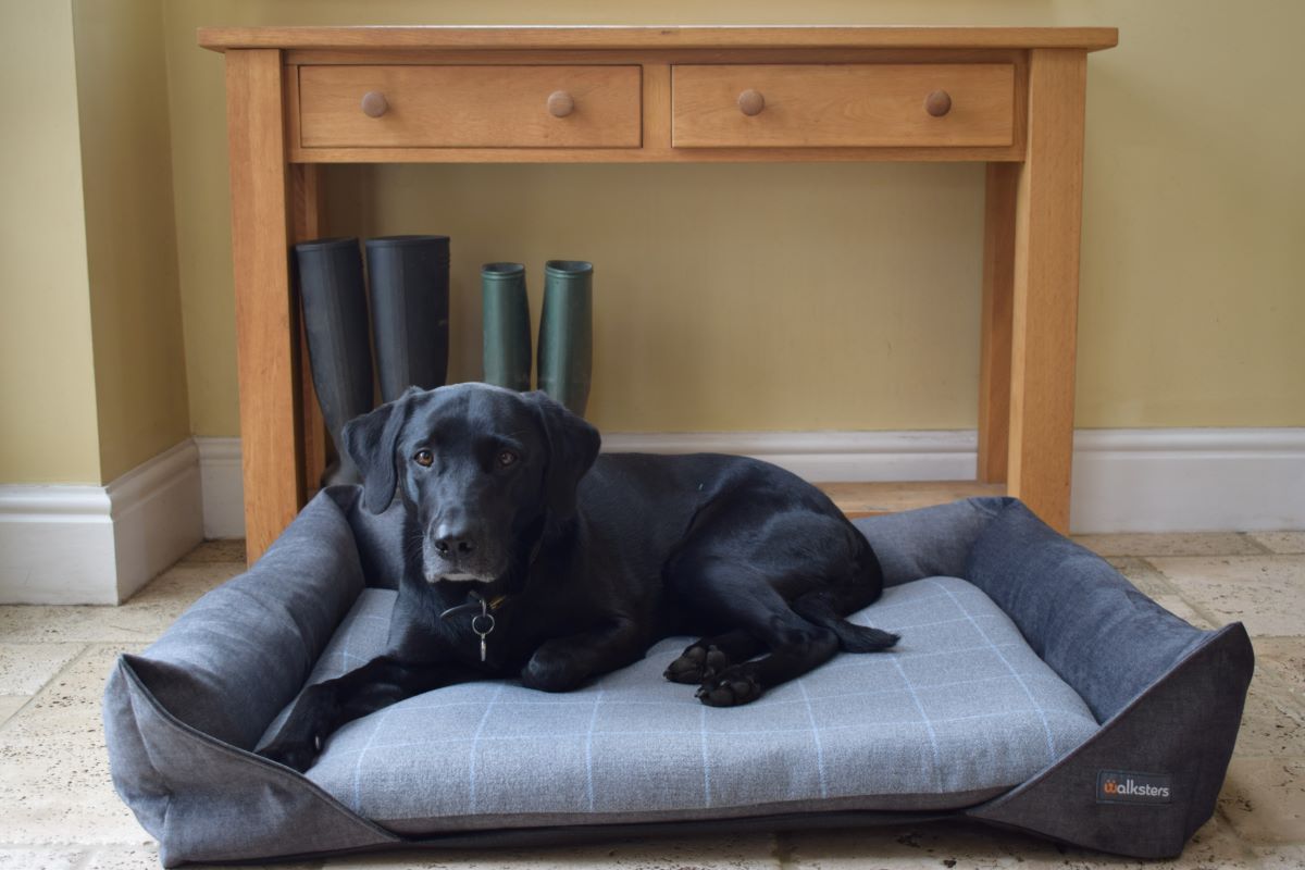Walksters Aviemore Dog Bed in Dark Grey Check