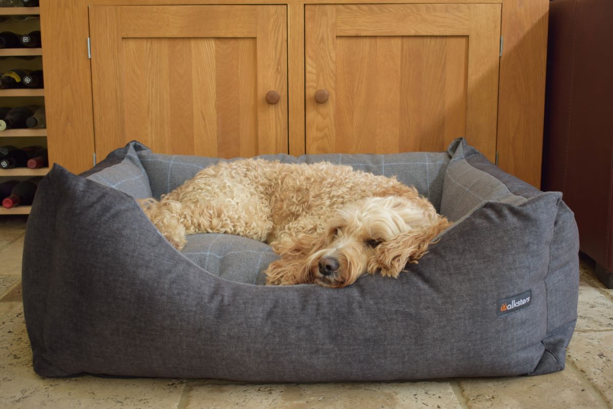 Walksters Buckingham Luxury Dog Bed in Dark Grey