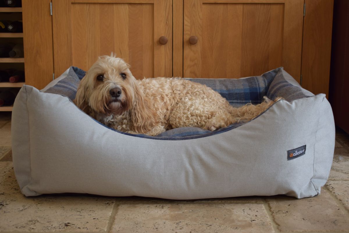 Walksters Buckingham Luxury Dog Bed in Grey & Blue Check