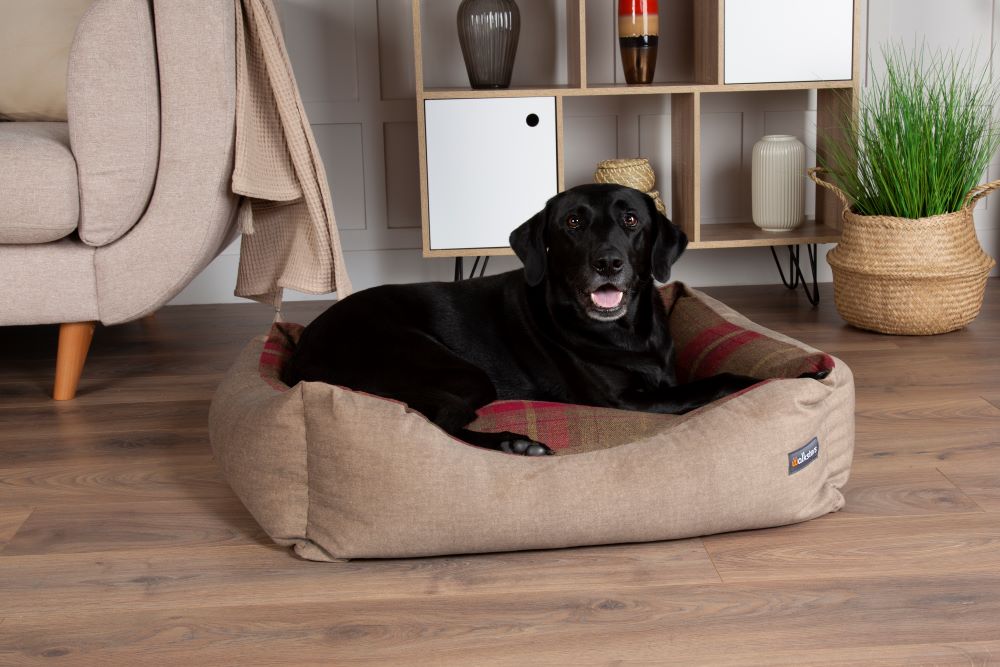 Walksters Buckingham Luxury Dog Bed in Beige