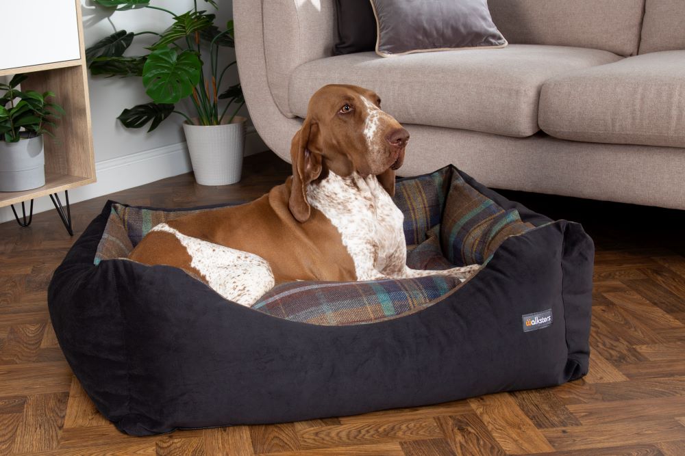 Walksters Buckingham Luxury Dog Bed in Black